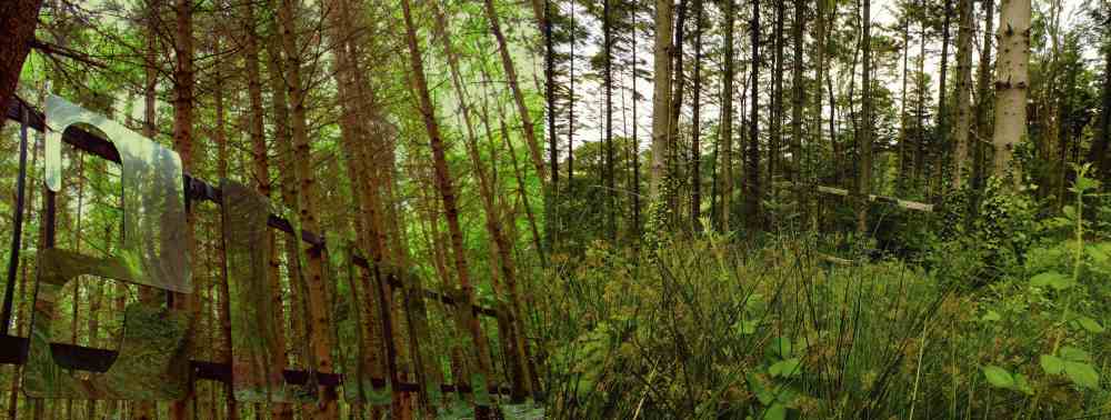 07PROP before and after clearence