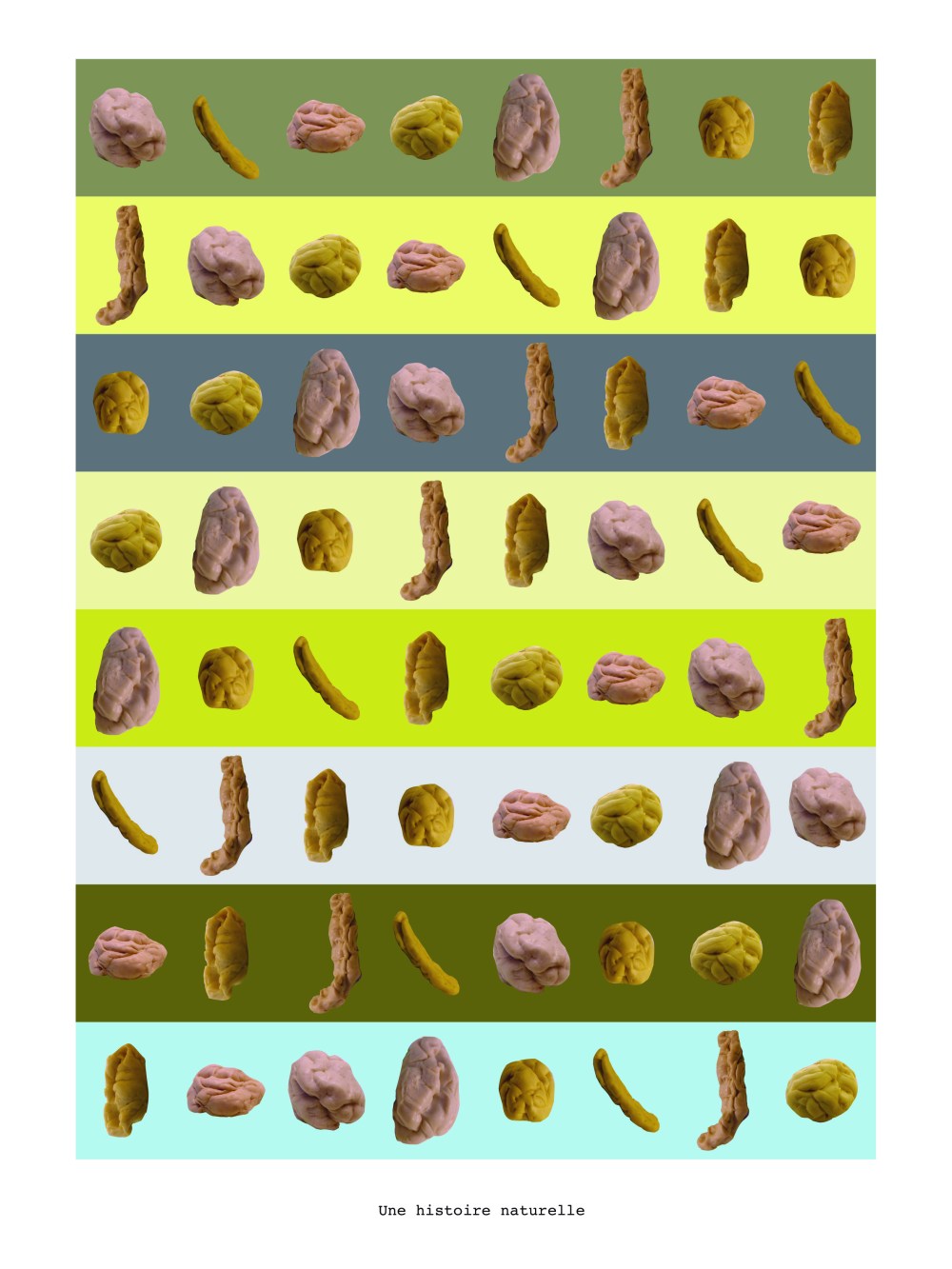 une history naturalle