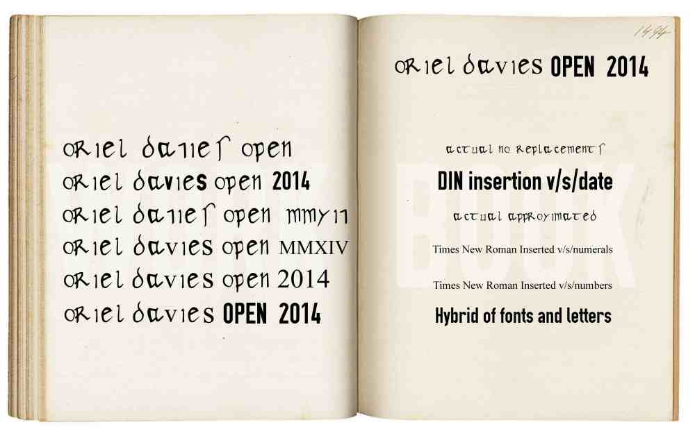 Oriel Davies Open 2014 lr