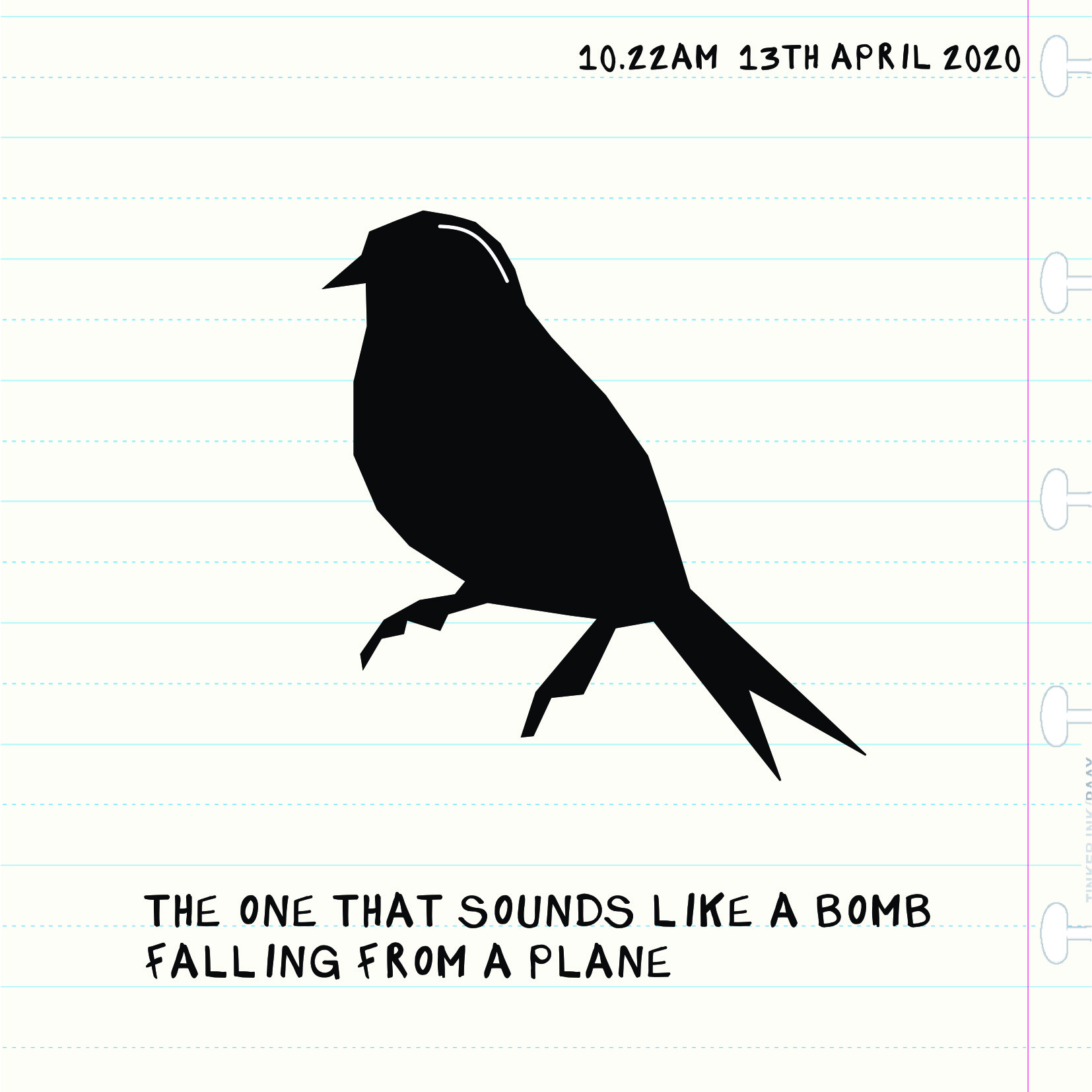 Bird Insta one 13:04